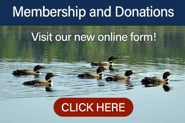 Membership and Donations